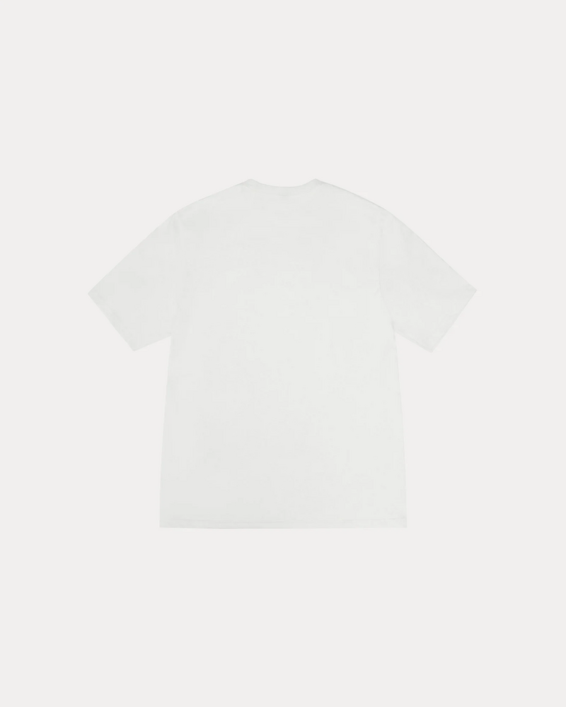 BIG & MEATY TEE PIGMENT DYED