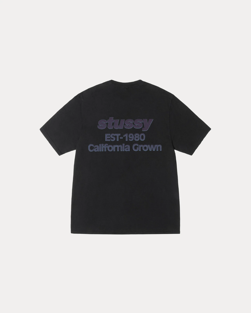 CALIFORNIA GROWN TEE PIGMENT DYED