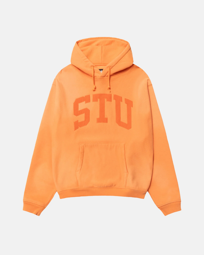 STU APPLIQUE HOODIE